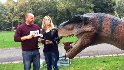 Lowdown Live Tour - 25th September