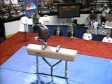 Chainey Umphrey - Pommel Horse - 1996 Olympic Trials - Men - Day 2