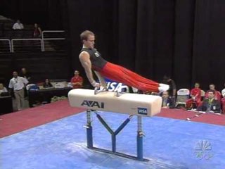 Paul Hamm - Pommel Horse - 2007 Visa Championships - Men
