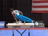 Guillermo Alvarez - Pommel Horse - 2007 Visa Championships - Men