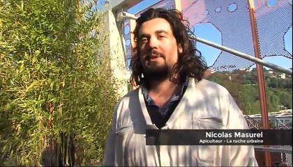 Développement Durable, le Mag 20/09/2017