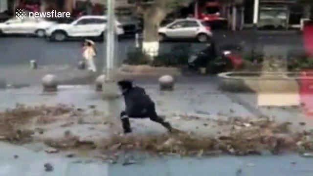 San Goku dans une tornade de feuilles... Fan de Dragon Ball Z ?