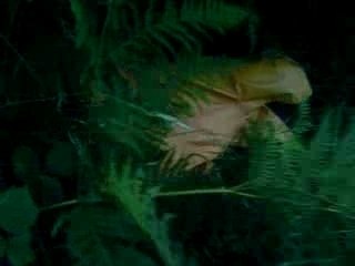 I am Johnny Knoxville !!!