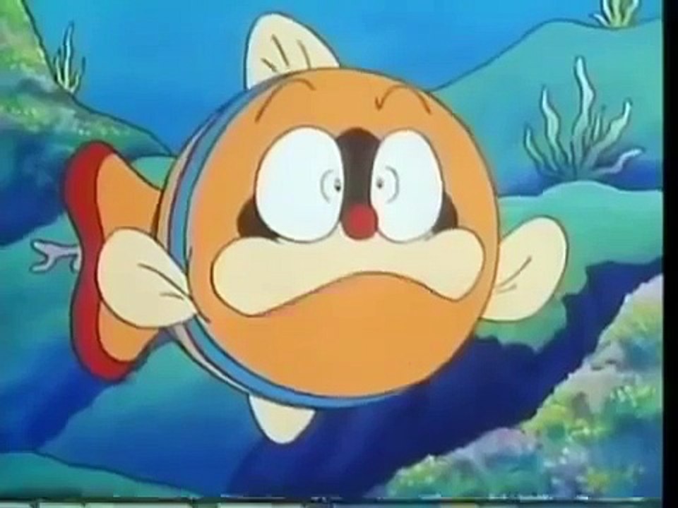 Pokonyan! Chú mèo Rocky Làm bạn với cá heo