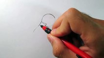 Como desenhar um beija-flor
