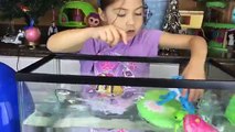 Little Live Pets Water Surprise Toys Giant Eggs Toy Surprises Lil Turtle & Lil Frog Really Swim