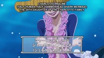 BIG MOMS DAUGHTER One Piece Episode 790
