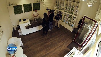 Hanf / Hanföl - Informationen