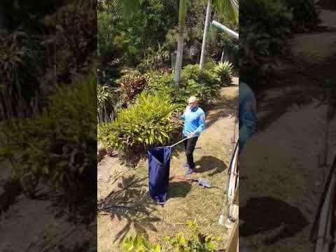 Snake Catcher Pounces on Eastern Brown to End Three-Day Hunt