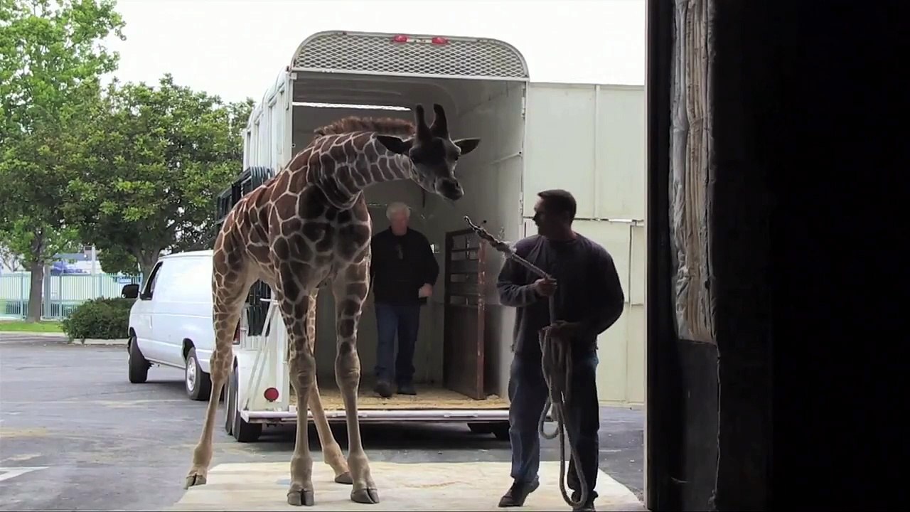 Brad Wilson - Photographie | Artistics.com