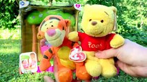 Twin Babies Baby Dolls Lil Cutesies Doll Swing Playing at The Park Winnie Pooh Tigger Toy Video