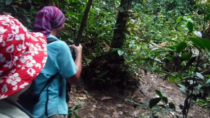 SHE DID WHAT!  - WE LOVE FAILS! - June 2017   Funny Weekly Fail Compilation   Best Fails Montage