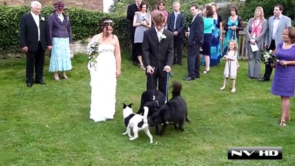 Ultimate Fails Compilation 2015 (So Far)