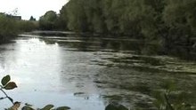 Mon lac à St-Louis