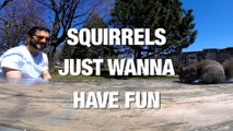 Squirrels Just Want to Have Fun