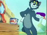 Tom and Jerry Cartoons Collection 013   The Zoot Cat [1944]