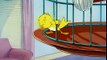 Tom and Jerry Cartoons Collection 034   Kitty Foiled [1948]