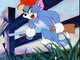 Tom and Jerry Cartoons Collection 064   The Duck Doctor [1952]