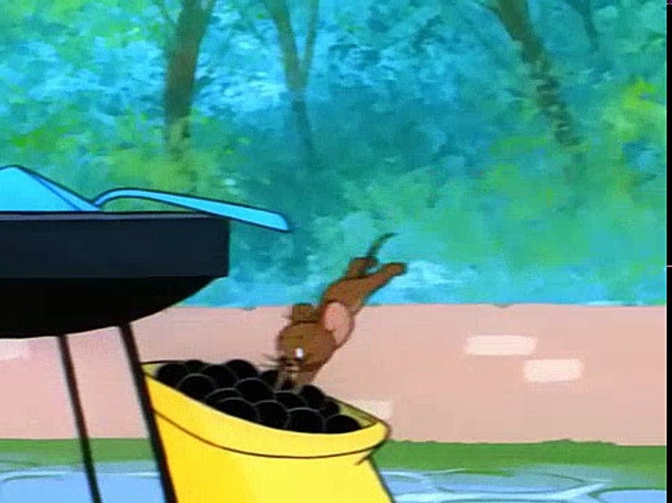 Tom and Jerry Cartoons Collection 104   Barbecue Brawl [1956]