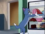 Tom and Jerry Cartoons Collection 084   Baby Butch [1954]