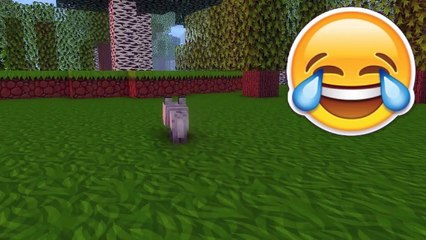 انميشن ماين كرافت ( قتلو منمن المسكين )