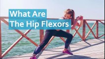What Are The Hip Flexors