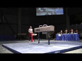 Paul Hamm - Pommel Horse - 2012 Winter Cup Prelims