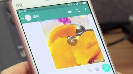 WhatsApp perturbado en China antes del congreso comunista