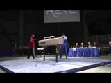 Alex Naddour - Pommel Horse - 2012 Winter Cup Prelims