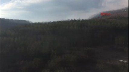 Manisa Soma'da Orman Yangını