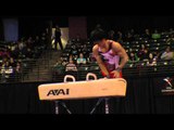 Takuya Nakase - Pommel Horse - 2012 Kellogg's Pacific Rim Championships