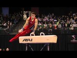 Jake Dalton - Pommel Horse - 2012 Kellogg's Pacific Rim Championships