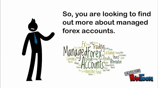 Managed Forex Accounts Info