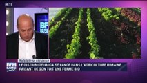 Rodolphe se démarque: le distributeur IGA se lance dans l'agriculture urbaine faisant de son toit une ferme bio - 23/09