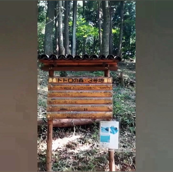Totoro no mori