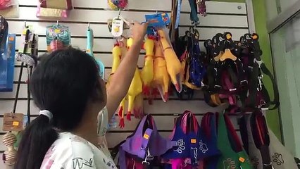 FIDGET SPINNER DE POLLOS! (Impresionante y Peligroso)