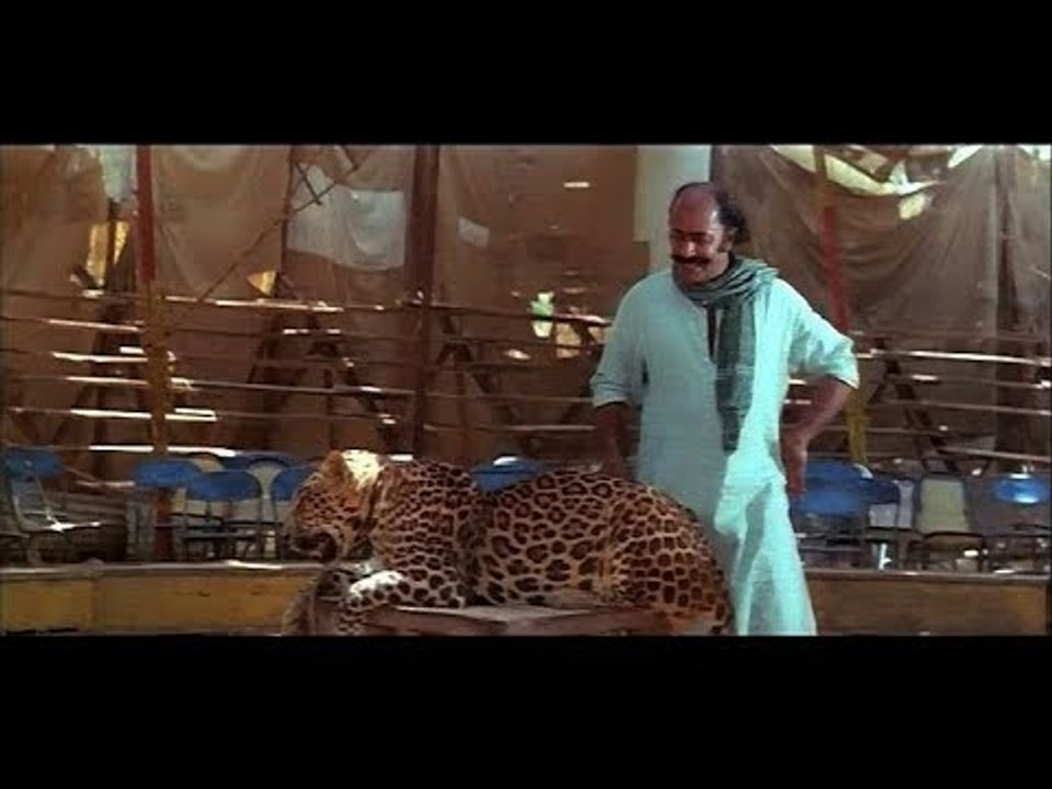 भयानक करतब दिखाने वाले कलाकार,खतरों का खिलाडी | गजब का बैलेंस |
