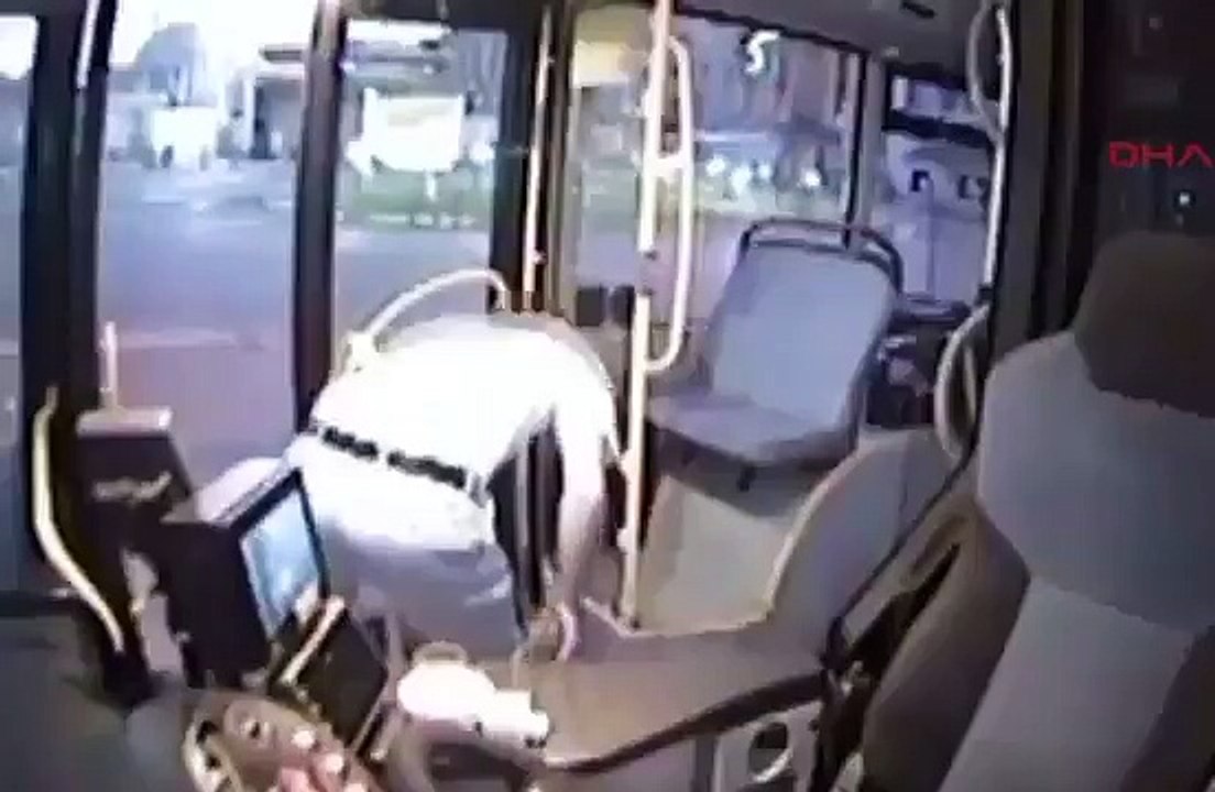 Otobüs şoföründen insanlık dersi: Köpeği yarı yolda bırakmadı!