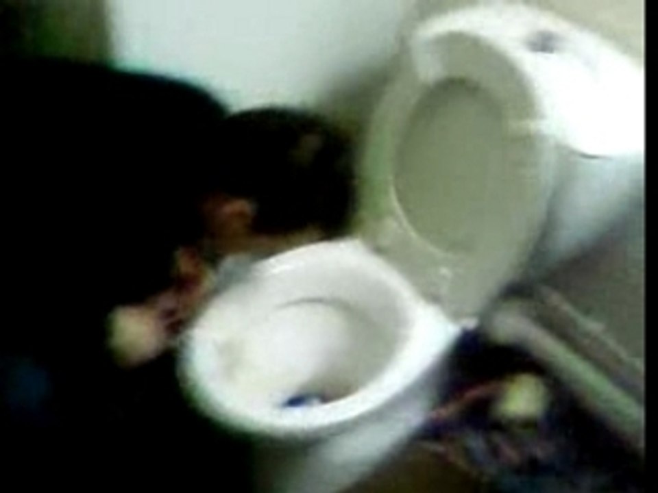 l'alcool rend malade !!!!!