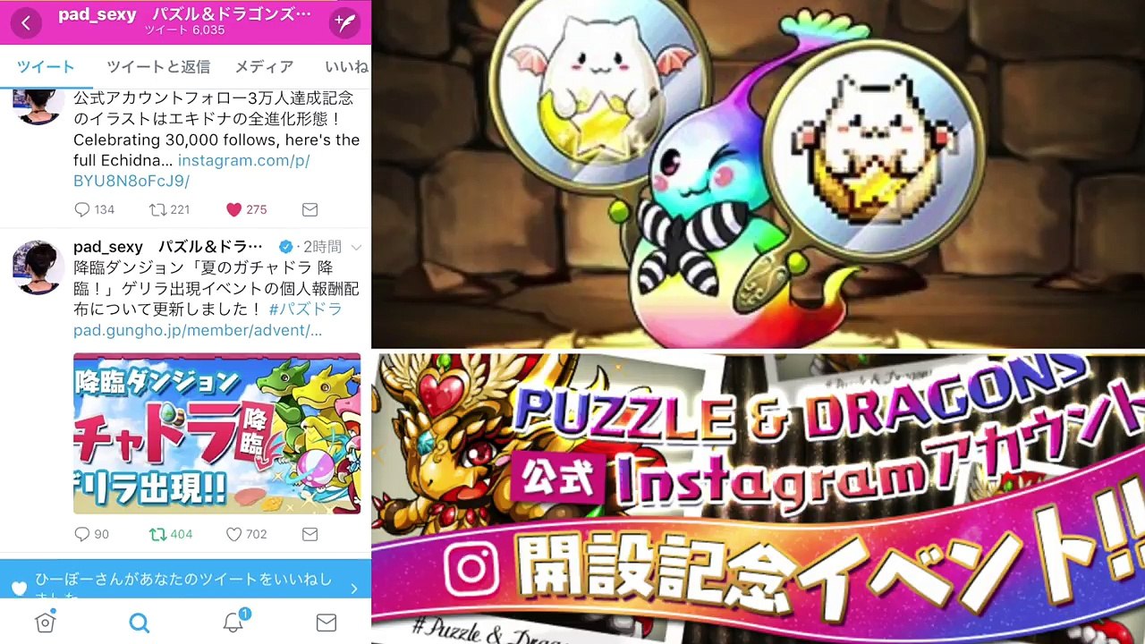 パズドラ 最新情報 ドットエキドナ ガチャドラ報酬について 祝instagram３万人 ドット エキドナ 可愛い Video Dailymotion