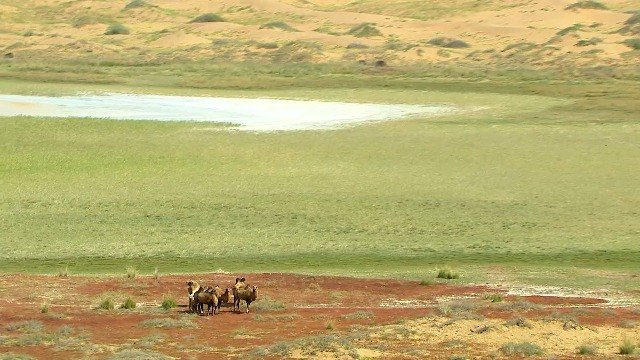 Paysages du jour / Landscapes of the day - Étape 3 / Stage 3 - Dakar Series China Rally 2017