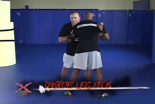 Georges St-Pierre - MMA Instructional Vol. 1