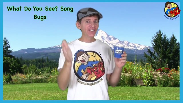 What Do You See? Song | Bugs and Insects | Learn English Kids