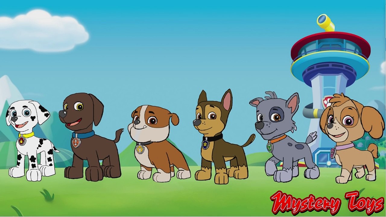 Paw Patrol Coloring Book Pages Chase Marshall Rubble Skye - Coloring Videos For Kids Mystery Toys