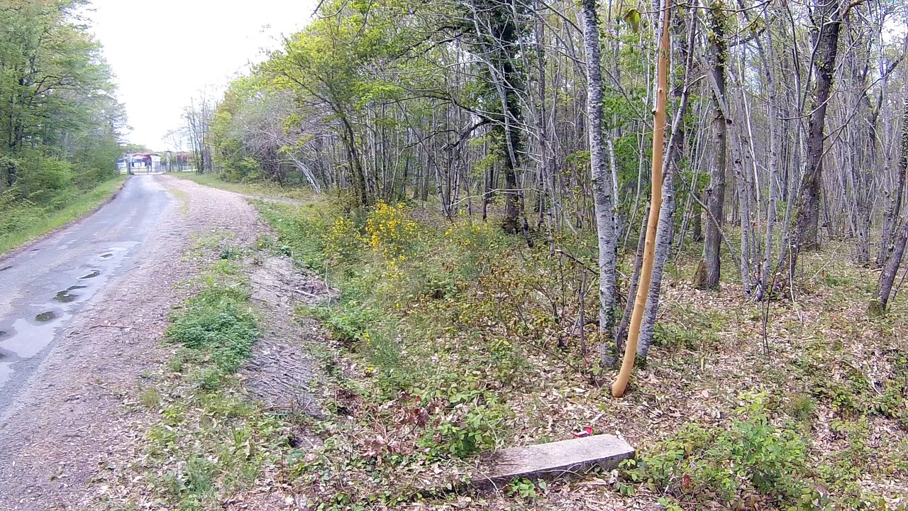 VELO a la gremuse olivet