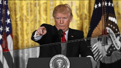 Trump Tweets Tuesday