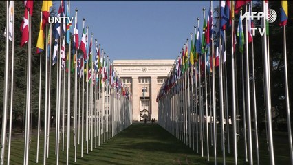 La Dominique : 100% des cultures détruites (ONU)