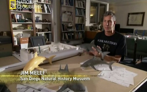 Depredadores Prehistoricos -Tiburones Monstruosos