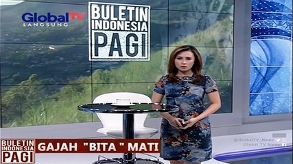 Gajah Betina di Kebun Binatang Kinanta Zoo Mati