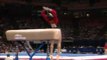 Dominique Dawes - Vault 1 - 1996 U.S Gymnastics Championships - Women